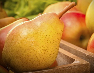 Експорт яблук і груш за 9 місяців зріс більше ніж утричі